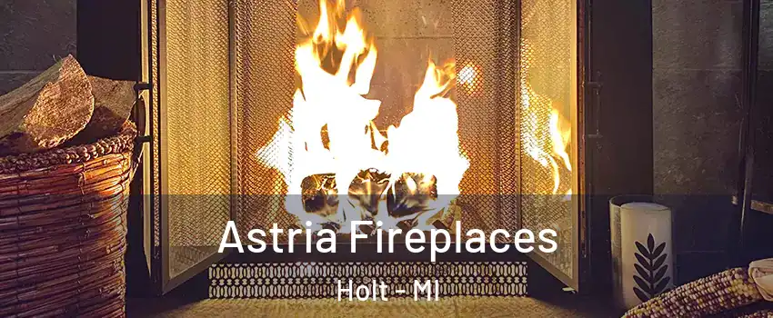  Astria Fireplaces Holt - MI