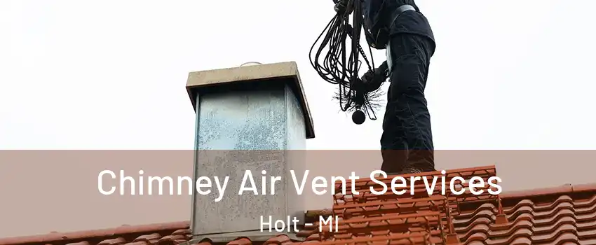  Chimney Air Vent Services Holt - MI
