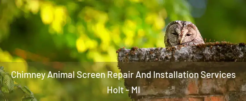  Chimney Animal Screen Repair And Installation Services Holt - MI