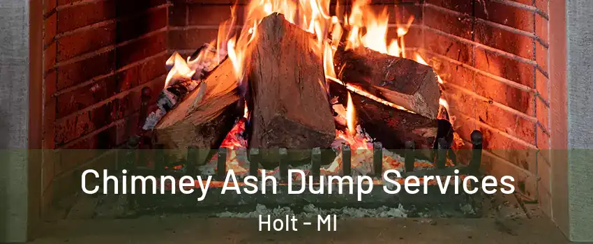  Chimney Ash Dump Services Holt - MI