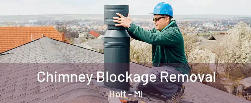  Chimney Blockage Removal Holt - MI