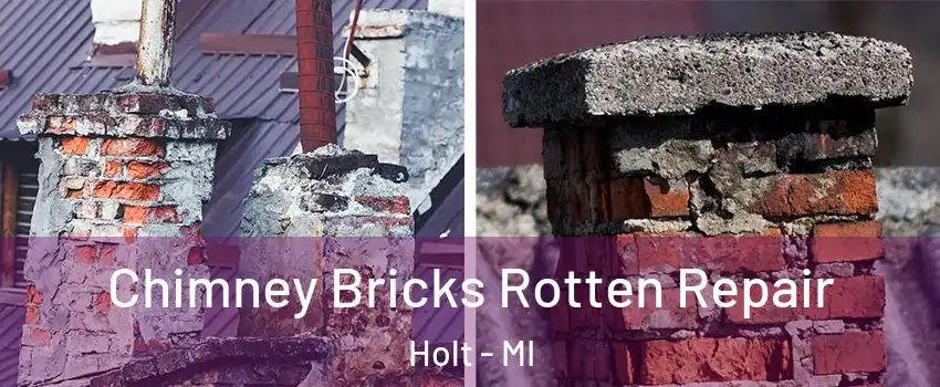  Chimney Bricks Rotten Repair Holt - MI