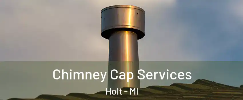  Chimney Cap Services Holt - MI