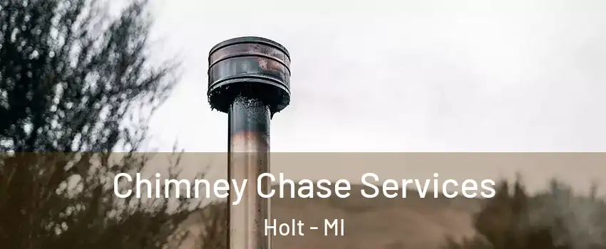  Chimney Chase Services Holt - MI