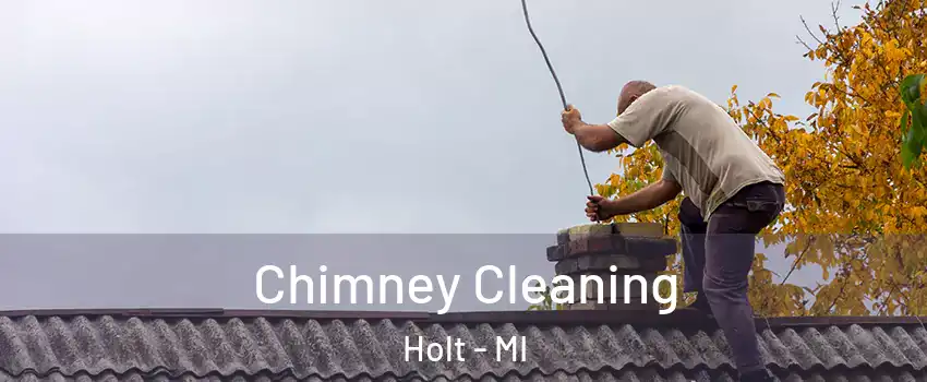  Chimney Cleaning Holt - MI