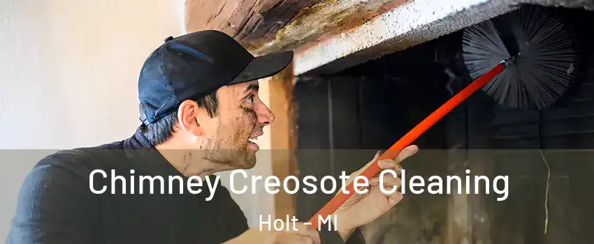  Chimney Creosote Cleaning Holt - MI