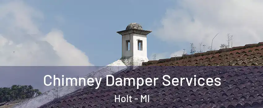  Chimney Damper Services Holt - MI