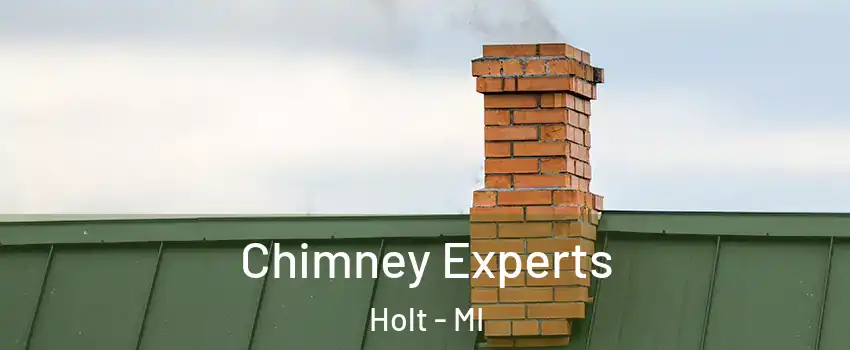 Chimney Experts Holt - MI