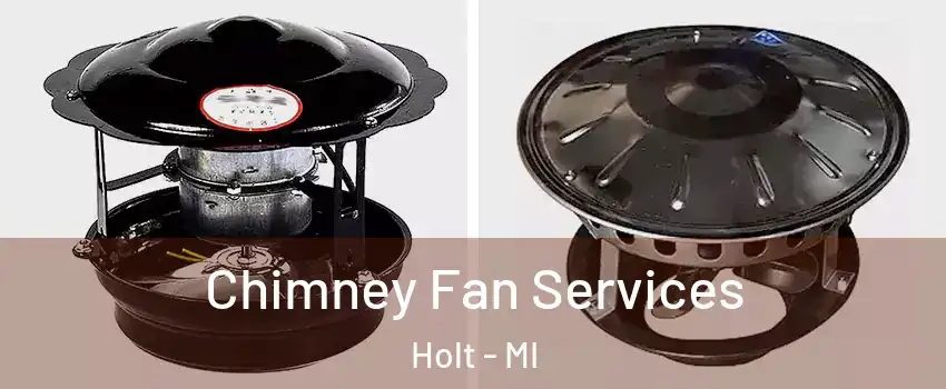  Chimney Fan Services Holt - MI