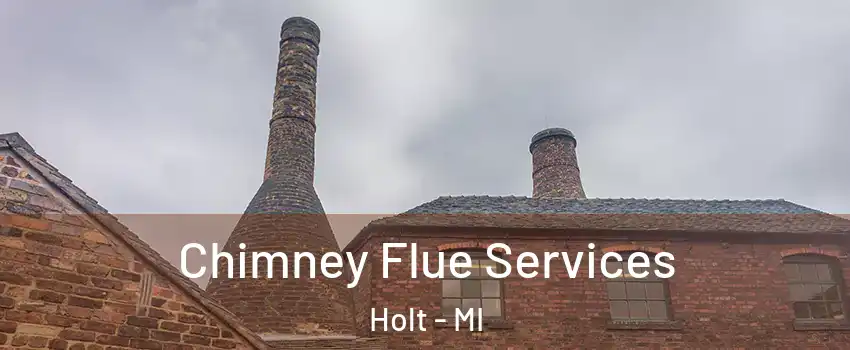  Chimney Flue Services Holt - MI
