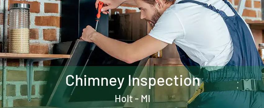  Chimney Inspection Holt - MI