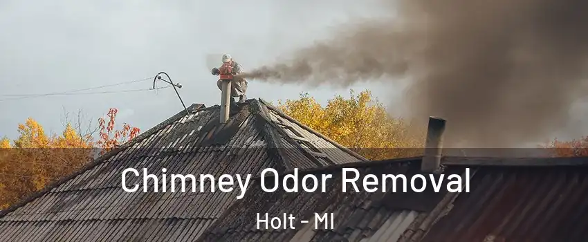  Chimney Odor Removal Holt - MI