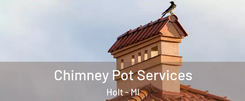 Chimney Pot Services Holt - MI