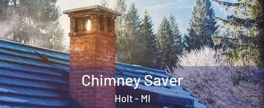  Chimney Saver Holt - MI