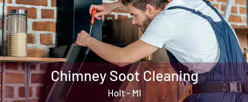  Chimney Soot Cleaning Holt - MI
