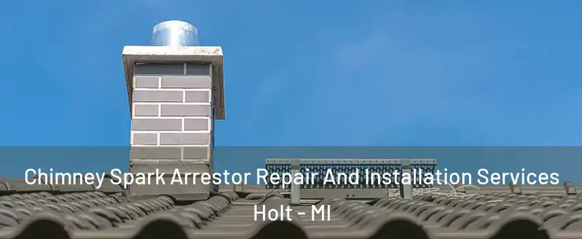  Chimney Spark Arrestor Repair And Installation Services Holt - MI