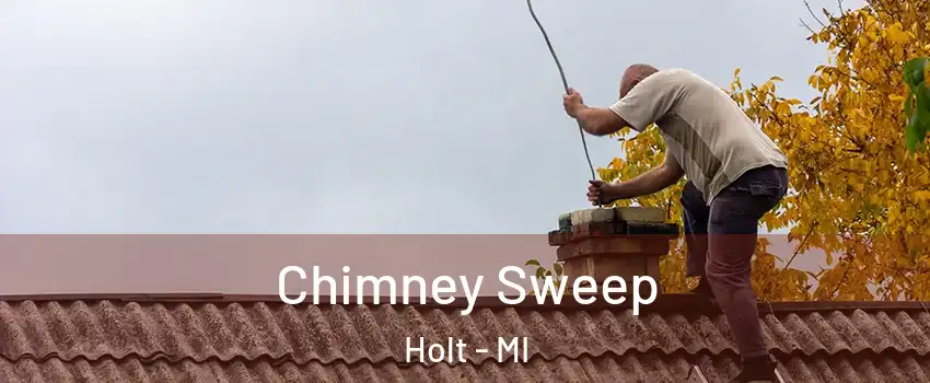  Chimney Sweep Holt - MI