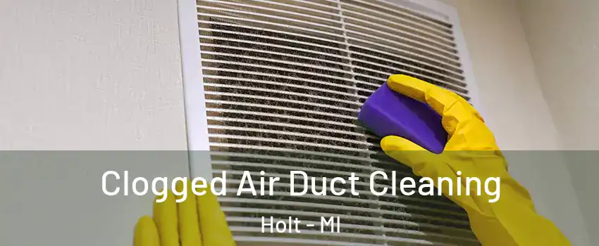  Clogged Air Duct Cleaning Holt - MI