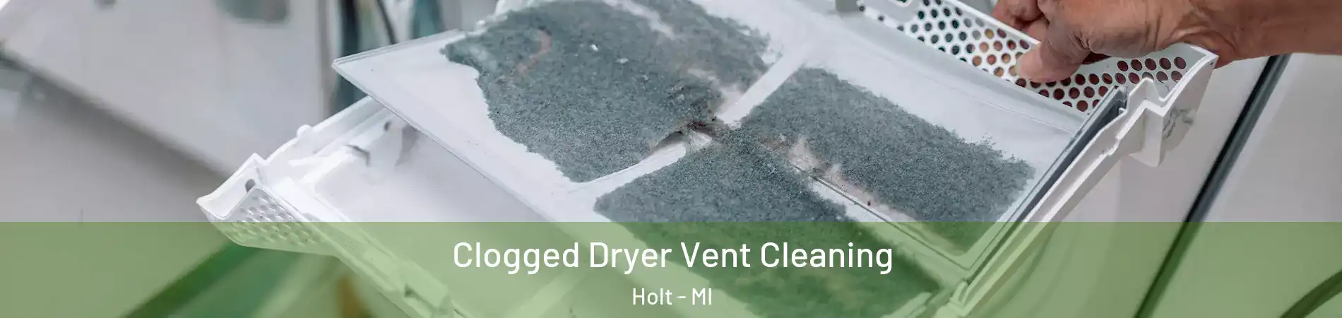  Clogged Dryer Vent Cleaning Holt - MI