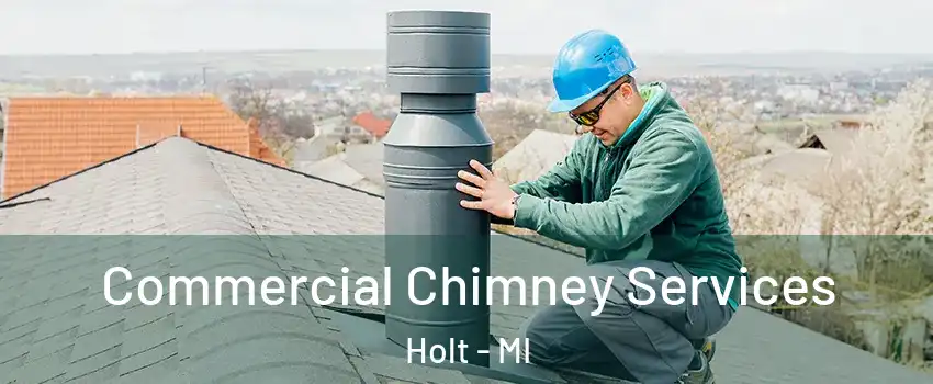  Commercial Chimney Services Holt - MI