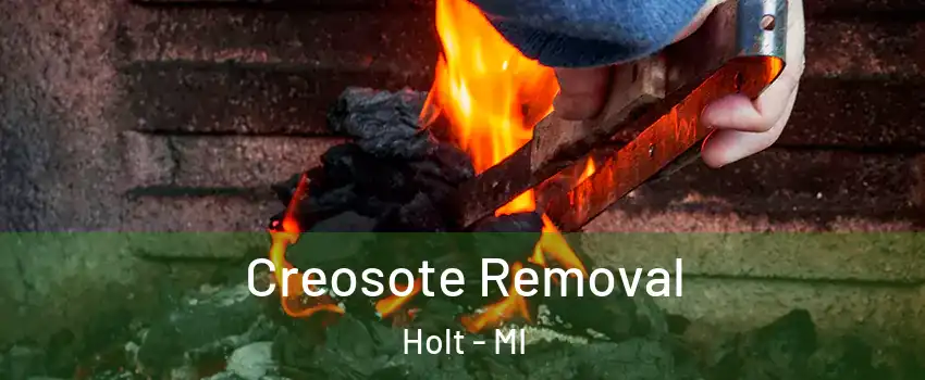  Creosote Removal Holt - MI