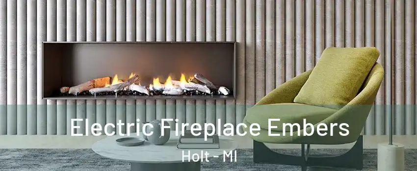  Electric Fireplace Embers Holt - MI