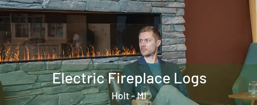  Electric Fireplace Logs Holt - MI