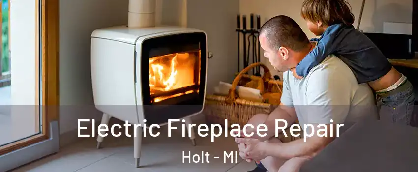  Electric Fireplace Repair Holt - MI