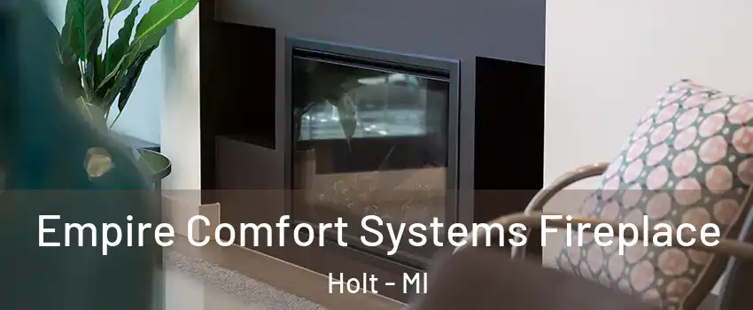  Empire Comfort Systems Fireplace Holt - MI