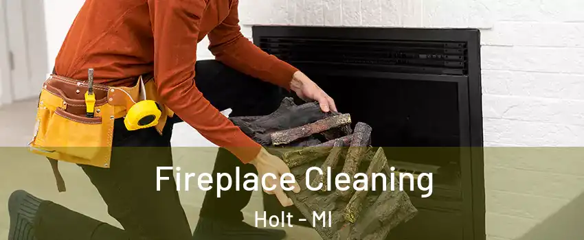  Fireplace Cleaning Holt - MI