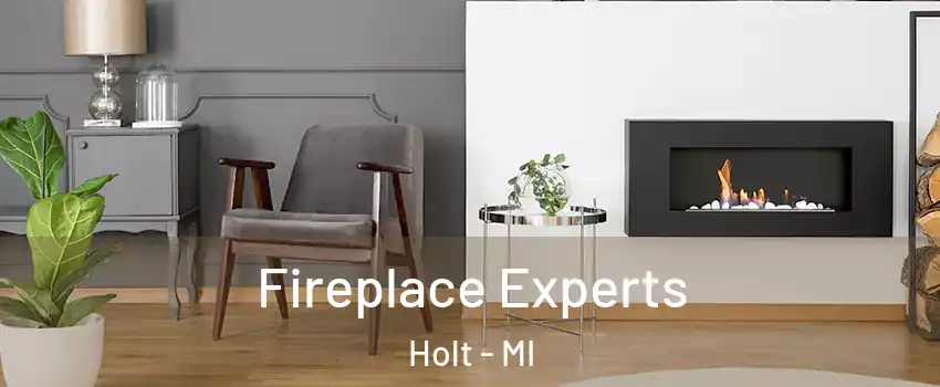  Fireplace Experts Holt - MI