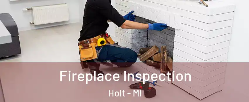  Fireplace Inspection Holt - MI
