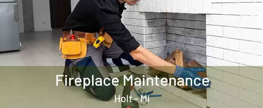  Fireplace Maintenance Holt - MI