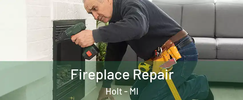  Fireplace Repair Holt - MI
