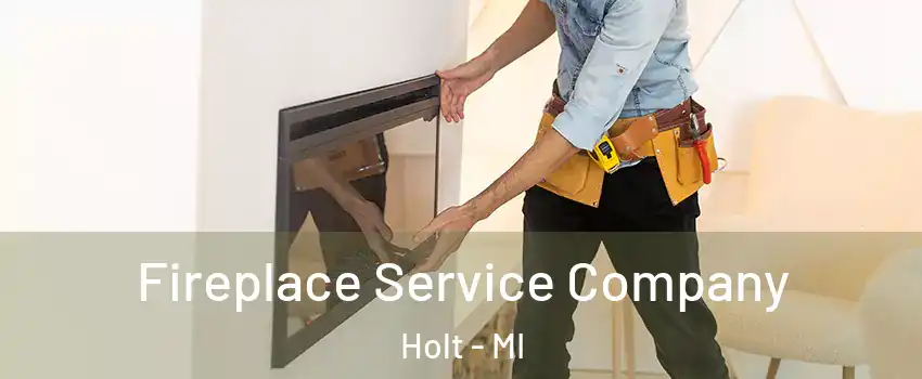  Fireplace Service Company Holt - MI