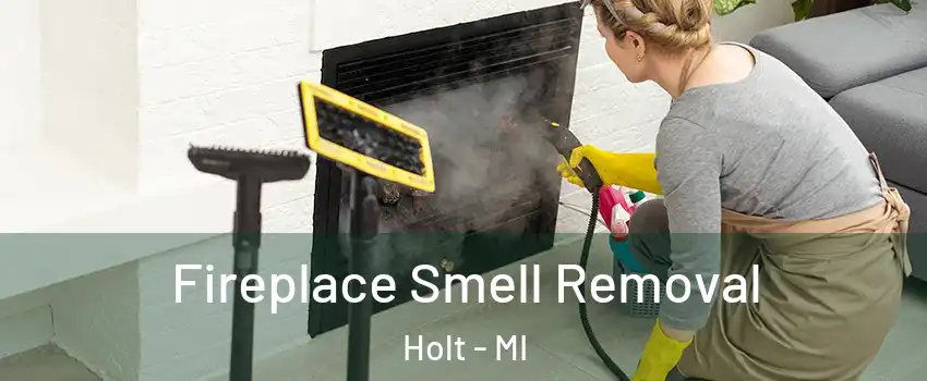  Fireplace Smell Removal Holt - MI