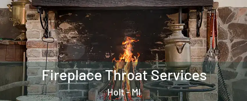  Fireplace Throat Services Holt - MI