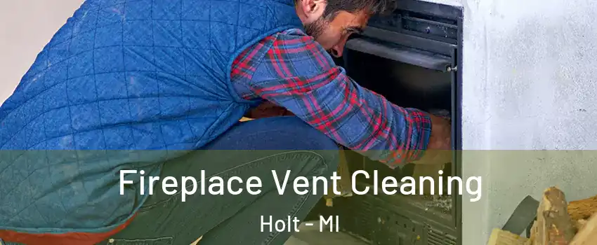  Fireplace Vent Cleaning Holt - MI