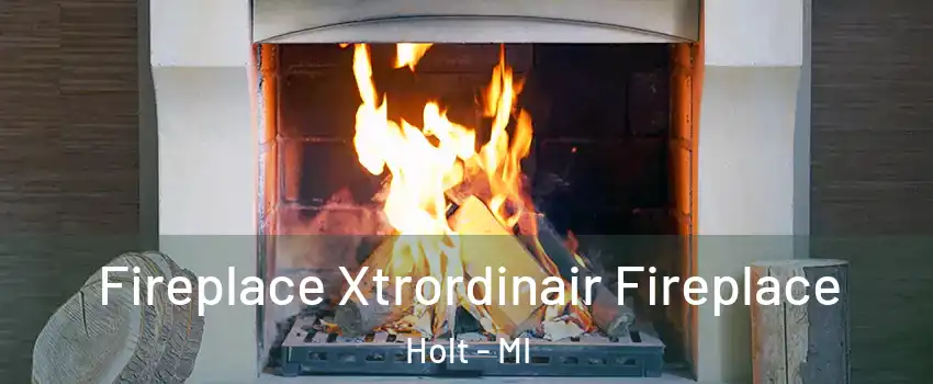  Fireplace Xtrordinair Fireplace Holt - MI
