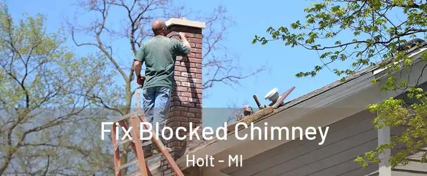  Fix Blocked Chimney Holt - MI
