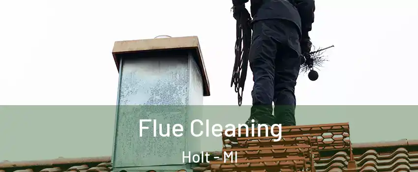  Flue Cleaning Holt - MI