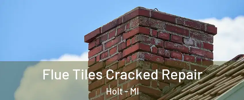  Flue Tiles Cracked Repair Holt - MI