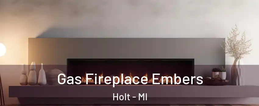  Gas Fireplace Embers Holt - MI