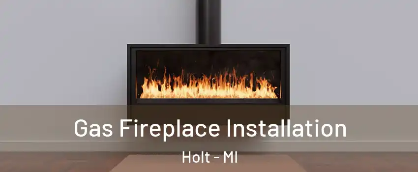  Gas Fireplace Installation Holt - MI