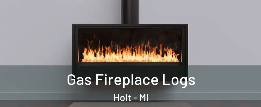  Gas Fireplace Logs Holt - MI