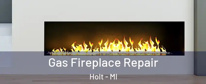  Gas Fireplace Repair Holt - MI