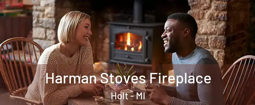  Harman Stoves Fireplace Holt - MI