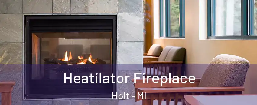  Heatilator Fireplace Holt - MI