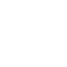 Professional Chimney Flue Installation in Holt, Michigan