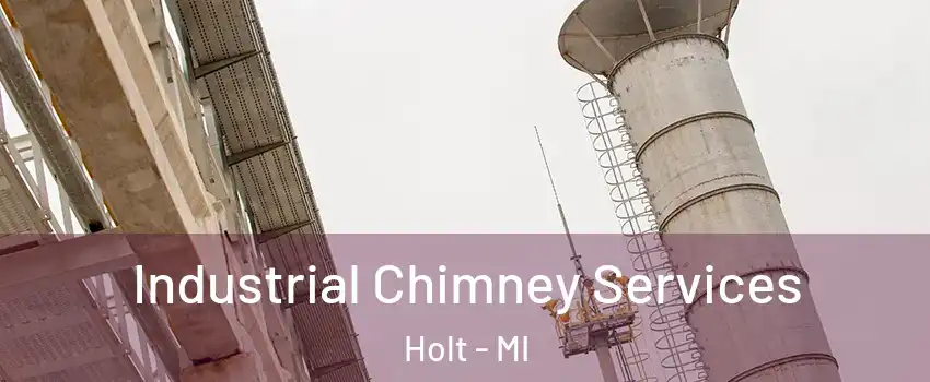  Industrial Chimney Services Holt - MI